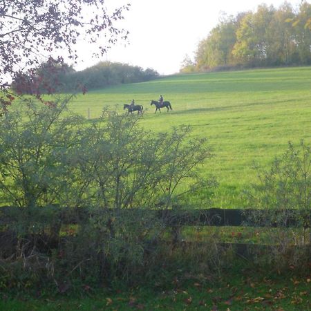 Natur Pur Mit Fernblick Fuer Wanderfreunde Bad Sachsa Exteriér fotografie