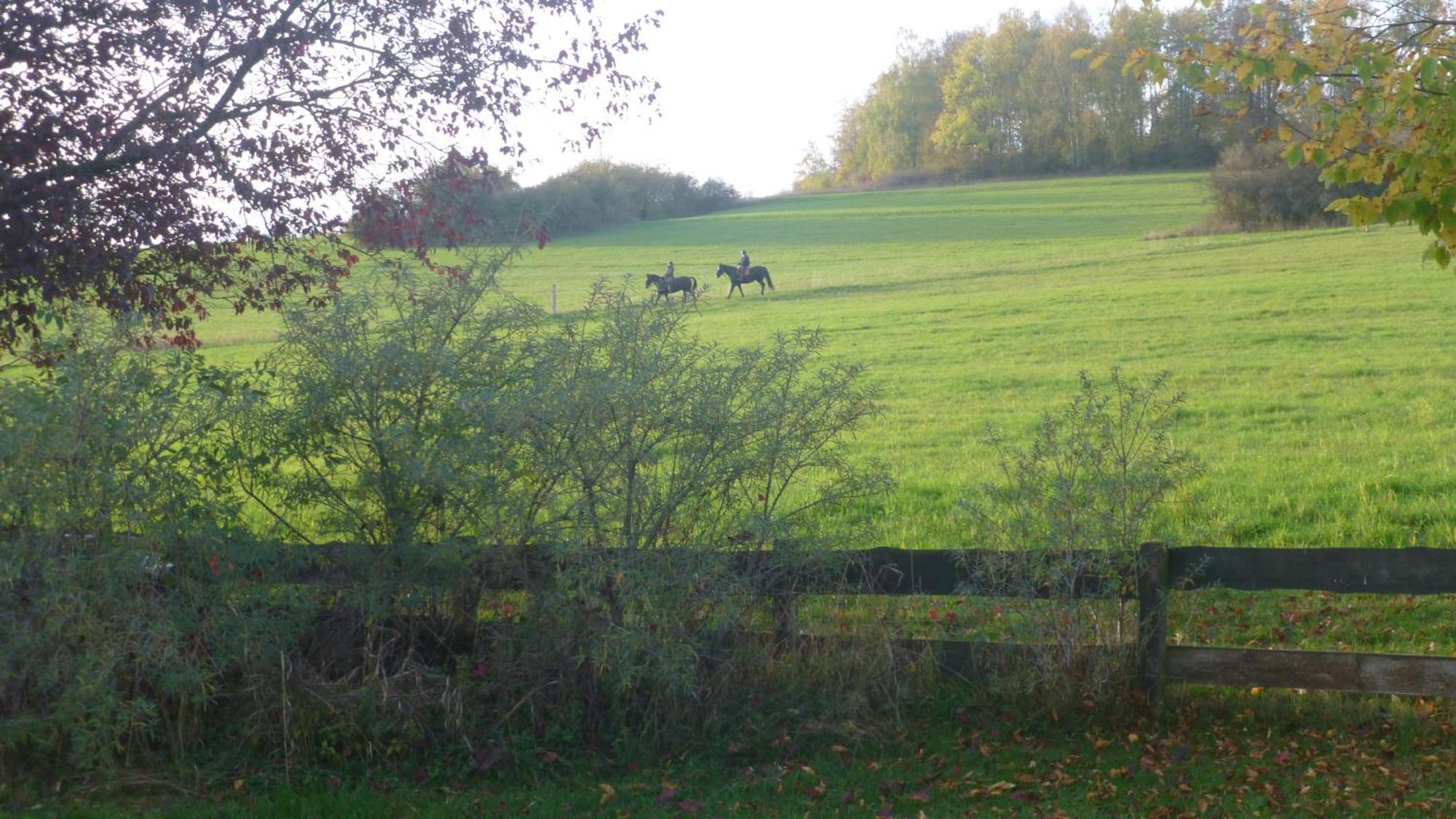 Natur Pur Mit Fernblick Fuer Wanderfreunde Bad Sachsa Exteriér fotografie
