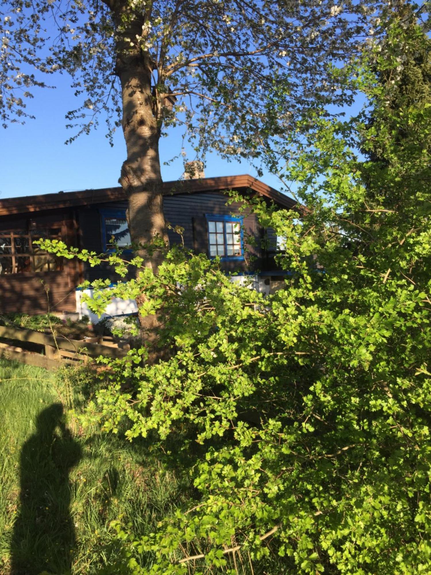 Natur Pur Mit Fernblick Fuer Wanderfreunde Bad Sachsa Exteriér fotografie